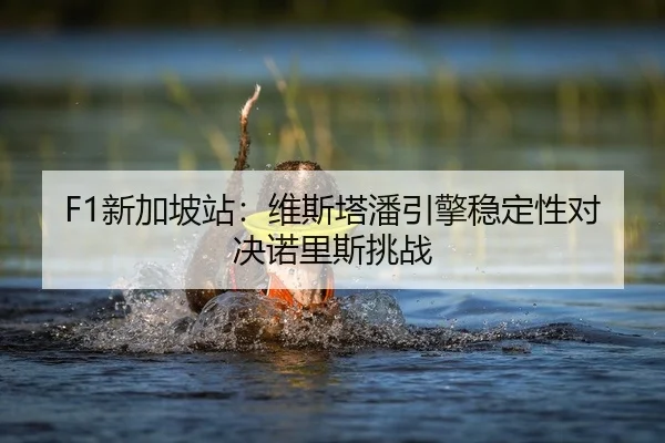 xin-jia-po-zhan-wei-si-ta-pan-yin-qing-wen-ding-xing-dui-jue-nuo-li-si-tiao-zhan-2-881.jpg